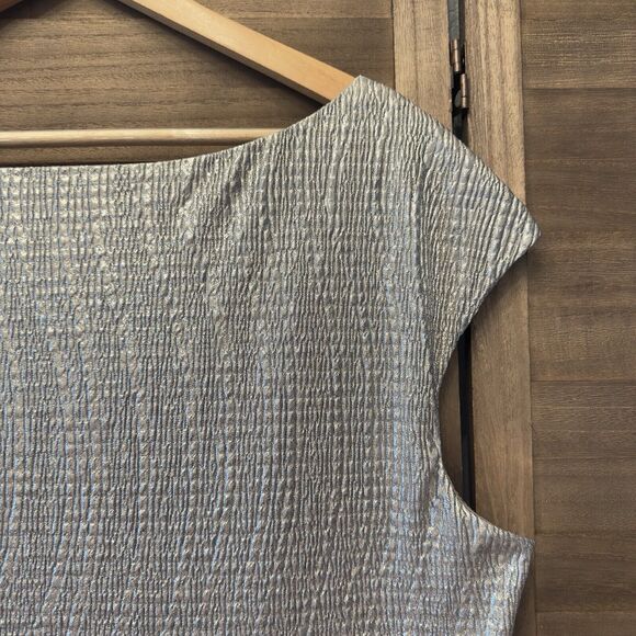 Collection DB‎ Silver Stretch Dress Party Wedding Curvy Belly Hide Plus Sz 20 - Picture 12 of 16